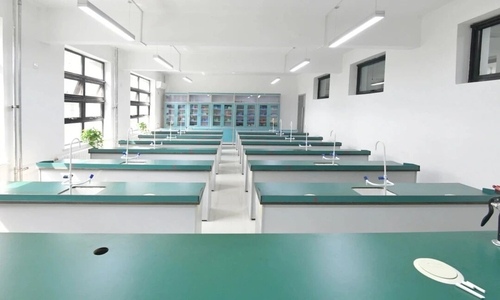 ������ɼѧУ