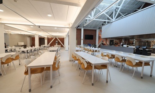 ����������߼���ѧ