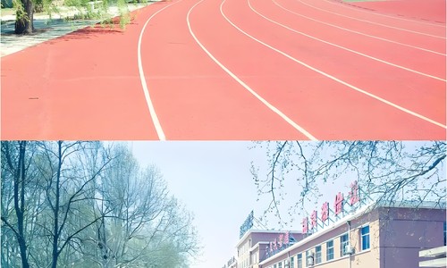 �����ٵ�Сѧ