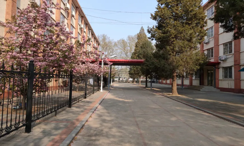 �����ٵ�Сѧ