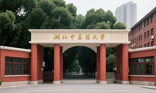 ������ҽҩ��ѧ