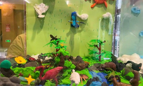 �����г������յ�ѧУ