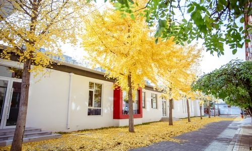 �����м�ѧУ