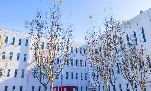 ���Ϲ���˫��ѧУ