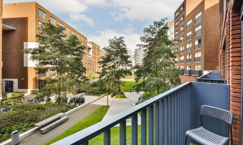 寧波大學(xué)科學(xué)技術(shù)學(xué)院