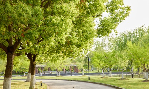 廊坊精英艺术学校