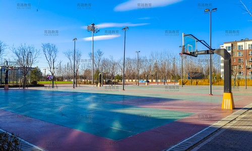 北京市新英才學(xué)校(國(guó)內(nèi)班)