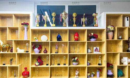 ���Ϲ���˫��ѧУ