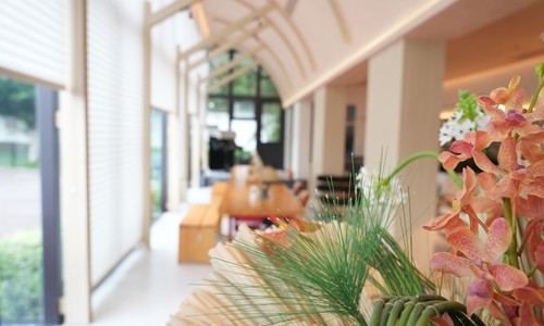 ɶдؿY(gu)Z(y)W(xu)У