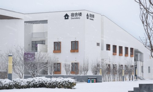 ������ƽ������ѧУ