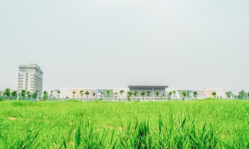 �����I���̴�W���u�I��������