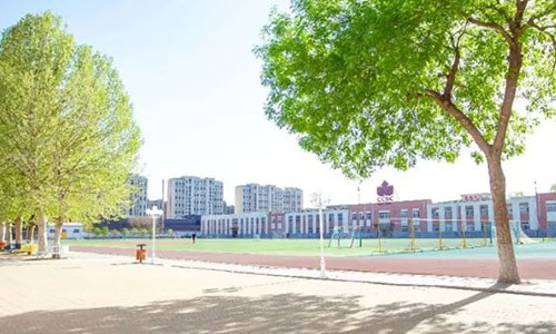 北京中加学校|通州华仁学校