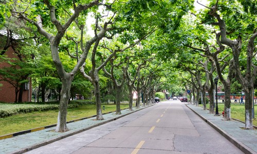 上海財經大學繼續教育學院