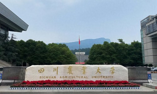 四川農(nóng)業(yè)大學(xué)