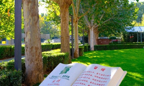 北京市通州區私立樹人學校