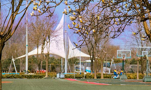 北京市博文學(xué)校