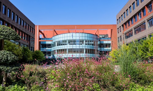 ��������Ӣ��ѧУ(���ڰ�)