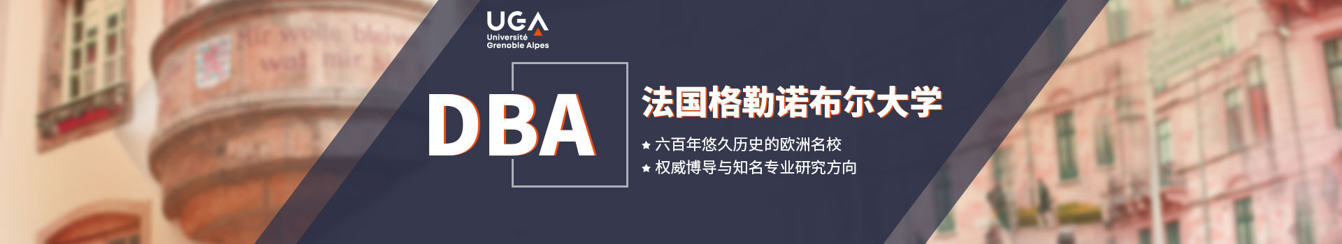 法国格勒诺布尔大学DBA