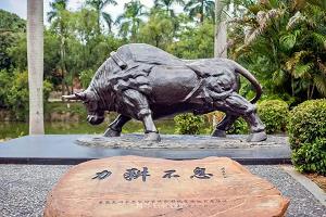 华南农业大学新加坡名校直通车招生简章