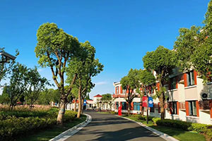 上海宏润博源学校招生简章