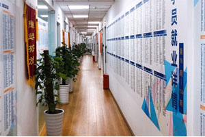 博为峰教育走廊