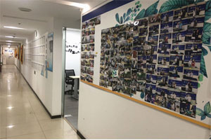博为峰教育展示墙