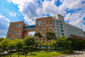 上海交大教育集团高丽大学1+3国际本科招生简章